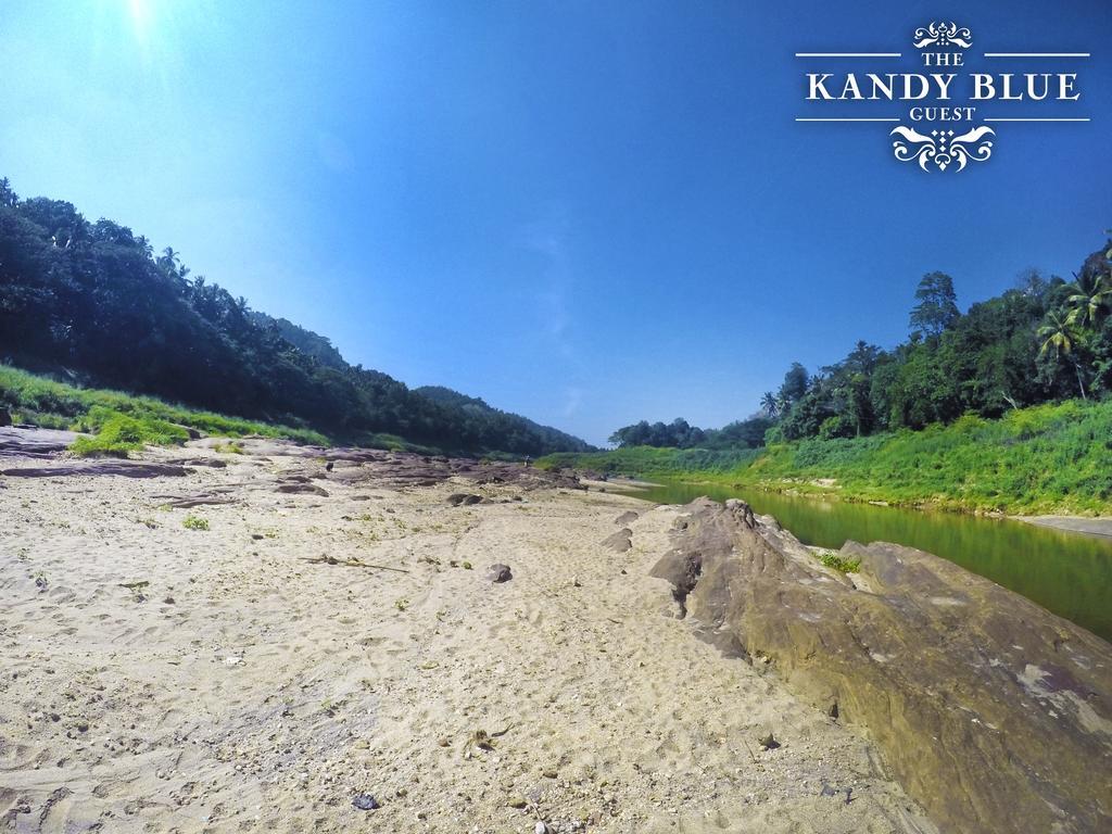 Kandy Blue ภายนอก รูปภาพ
