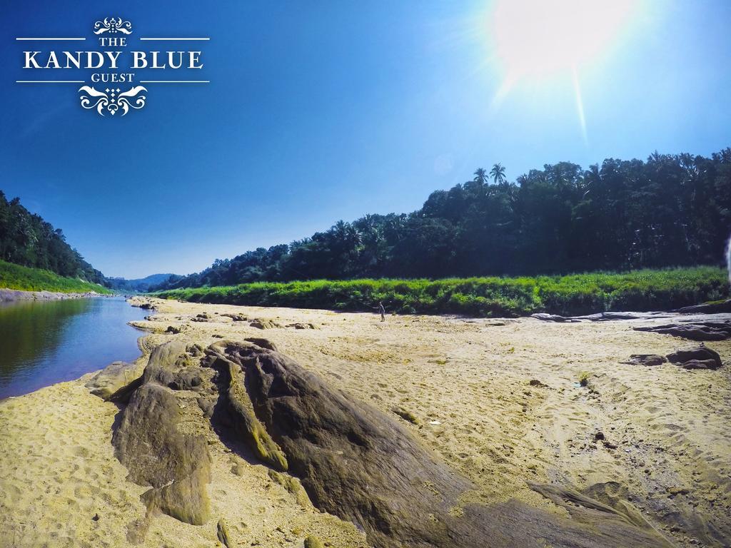 Kandy Blue ภายนอก รูปภาพ
